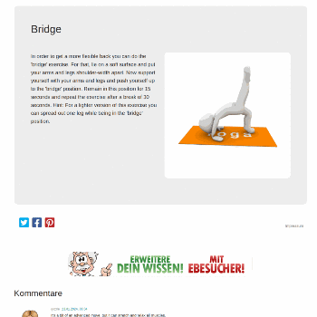 Bridge - Sport