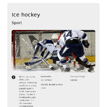 Ice hockey - Sport